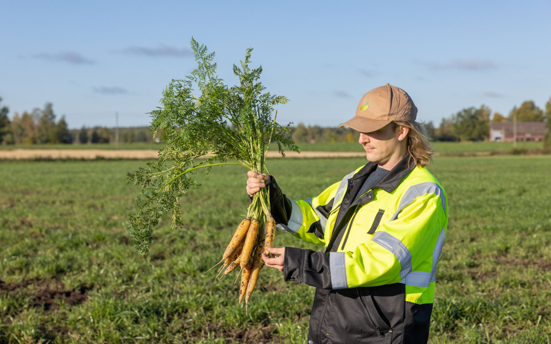 Porkkanan tie pellolta pihviksi pakastealtaaseen edellyttää usean ammattilaisen kädenjälkeä